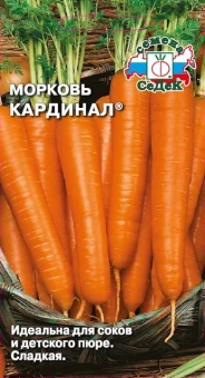 Снимок11