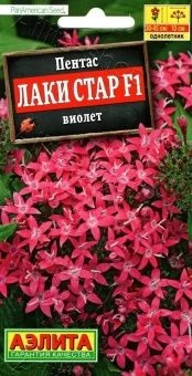 00035407_Пентас Лаки Стар виолет (Аэлита)