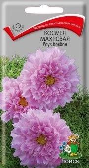 00041084_Космея махровая Роуз бонбон  0,1гр (ПОИСК