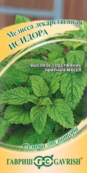 00008214_Мелисса лекарственная Исидора (Г)