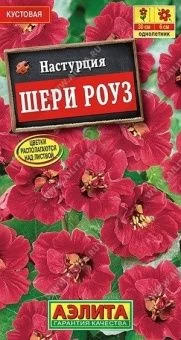 00023010_Настурция Шери Роуз карликовая (Аэлита)