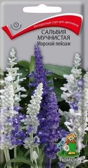 00030768_Сальвия Морской пейзаж мучнистая 10шт (ПО
