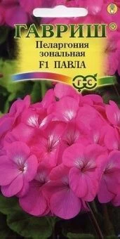 Пеларгония Павла зональная (Гавриш) 1/1000