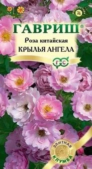 00000151_Роза Крылья ангела (Гавриш) 1_1000