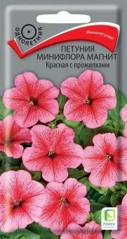 00041122_Петуния Магнит Красная с прожилками миниф