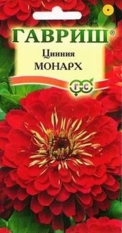 00008340_Цинния Монарх (Гавриш) 11000