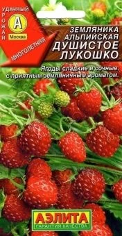 00012239_Земляника Душистое лукошко (Аэлита)