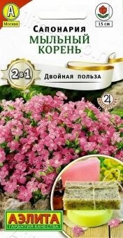 00036429_Сапонария Мыльный корень (Аэлита)
