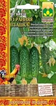 00028226_Огурец Ранняя Пташка (Манул)