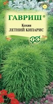 00008333_Кохия Летний кипарис (веничная) (Гавриш)