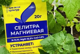Какими концентрациями удобрительных растворов можно опрыскивать растения и/или поливать их под корень? Какими концентрациями удобрительных растворов можно опрыскивать растения и/или поливать их под корень?
