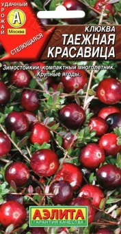 Клюква Таежная красавица крупноплодная (Аэлита)