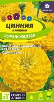 00043429_Цинния Кураж Желтая карликовая 0,3г (Сем Алт)