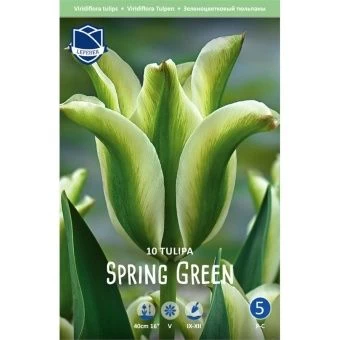 tyulpan-sprin-grin-w800-h800