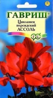 Цикламен Ассоль персидский (Гавриш) 1/1000