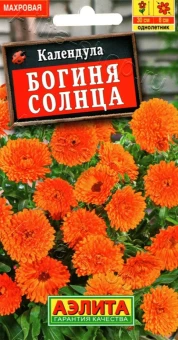 00012365_Календула Богиня Солнца (Аэлита)