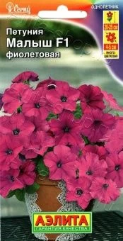 00029335_Петуния Малыш фиолетовая многоцветковая м