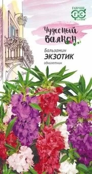00009425_Бальзамин Экзотик карликовый серия Чудесн