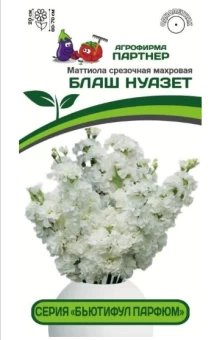 Снимок