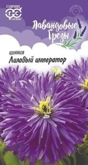 00001174_Цинния Лиловый император серия Лавандовые