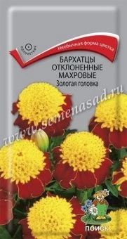 00029436_Бархатцы Золотая Головка отклоненные 0,4г