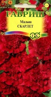00007720_Мальва Скарлет (Гавриш) 1_800