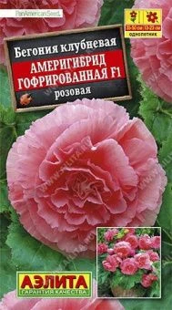 00029328_Бегония Америгибрид гофрированная F1 розо