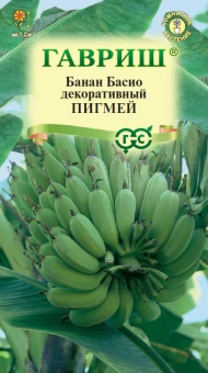00013420_Банан Пигмей декоративный (Гавриш)