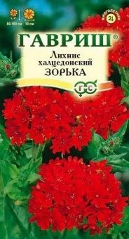 00007807_Лихнис Зорька  (Гавриш)