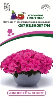 Снимок