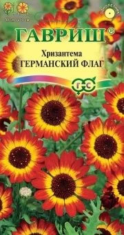 00010215_Хризантема Германский флаг (Гавриш) 1_600