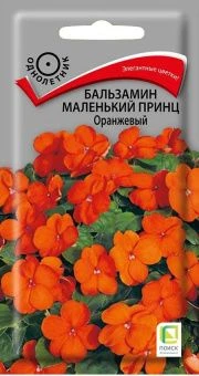 00033920_Бальзамин Маленький принц оранжевый (ПОИС