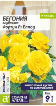 Снимок экрана 2026-07-31 092612