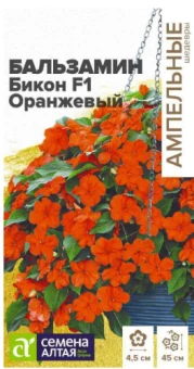 Снимок экрана 2026-07-31 091926