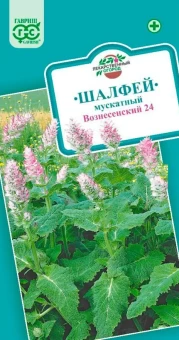 Шалфей Мускатный Вознесенский (Гавриш) 1800