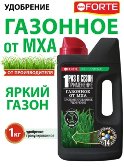 Снимок