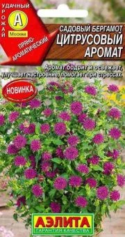 00021785_Бергамот садовый Цитрусовый аромат (Аэлит