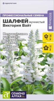 Снимок