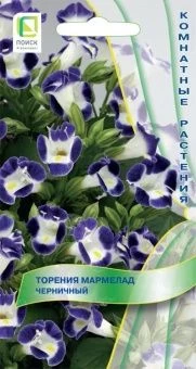 torenia_marmelad_chernichny