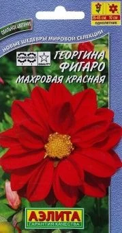 00022888_Георгина Фигаро махровая красная (Аэлита)