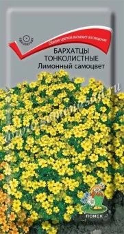 00039910_Бархатцы Лимонный самоцвет тонколистные  