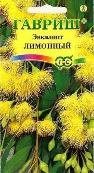 Эвкалипт Флагман (Гавриш) 1/1000