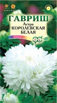 00011579_Астра Королевская белая (Гавриш)