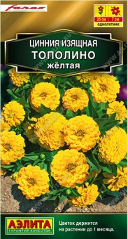 Снимок экрана 2025-08-01 124210