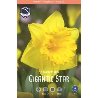 nartsiss-gigantik-star-w800-h800