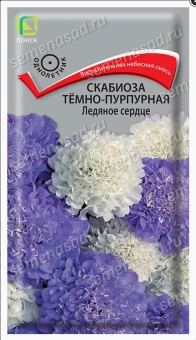 Снимок экрана 2026-10-02 112251
