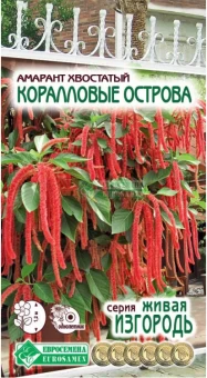 Снимок