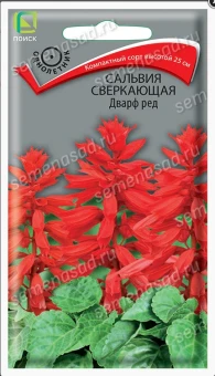 Снимок экрана 2026-10-02 110813