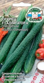 00035832_Огурец Китайский жароустойчивый (Аллигато