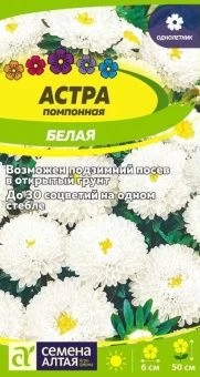 00043374_Астра Помпонная Белая 0,2г (Сем Алт)